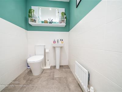 Picture 13